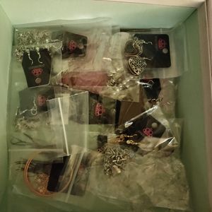 Paparazzi jewelry lot